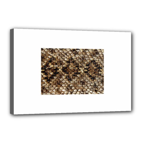 Snake Print	Canvas 18  x 12  (Stretched) from ArtsNow.com