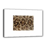 Snake Print	Canvas 18  x 12  (Stretched)