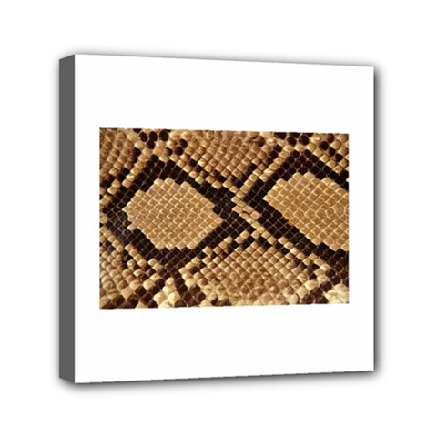 Snake Print Big	Mini Canvas 6  x 6  (Stretched) from ArtsNow.com