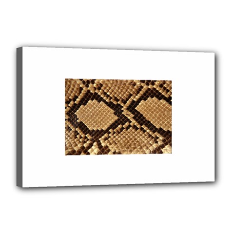 Snake Print Big	Canvas 18  x 12  (Stretched) from ArtsNow.com