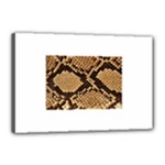 Snake Print Big	Canvas 18  x 12  (Stretched)