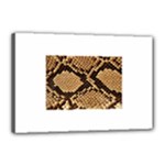 Snake Print Big	Canvas 18  x 12  (Stretched)