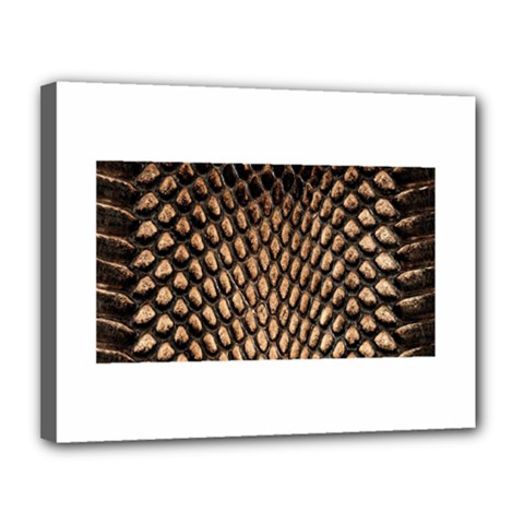 Cobra Print	Canvas 14  x 11  (Stretched) from ArtsNow.com