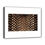 Cobra Print	Canvas 14  x 11  (Stretched)
