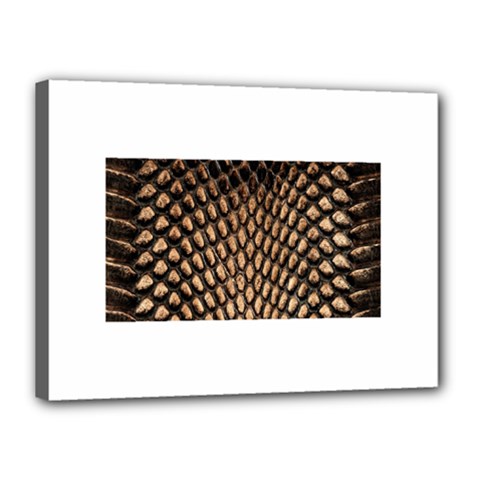 Cobra Print	Canvas 16  x 12  (Stretched) from ArtsNow.com
