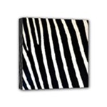 Zebra Print	 Mini Canvas 4  x 4  (Stretched)