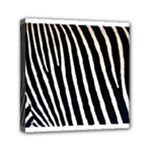 Zebra Print	Mini Canvas 6  x 6  (Stretched)