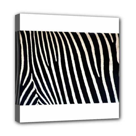 Zebra Print	Mini Canvas 8  x 8  (Stretched) from ArtsNow.com