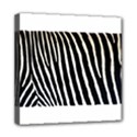 Mini Canvas 8  x 8  (Stretched) 