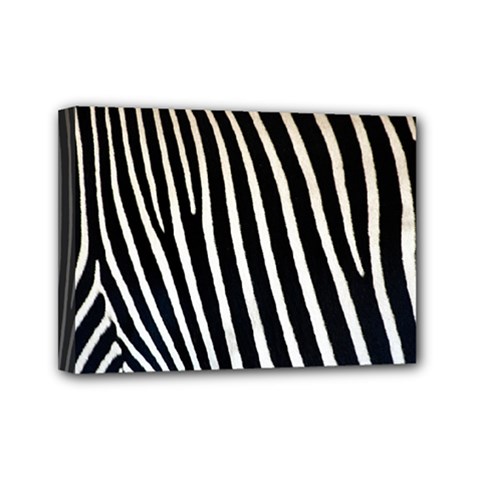 Zebra Print	Mini Canvas 7  x 5  (Stretched) from ArtsNow.com