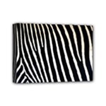 Zebra Print	Mini Canvas 7  x 5  (Stretched)