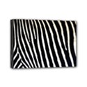 Mini Canvas 7  x 5  (Stretched) 