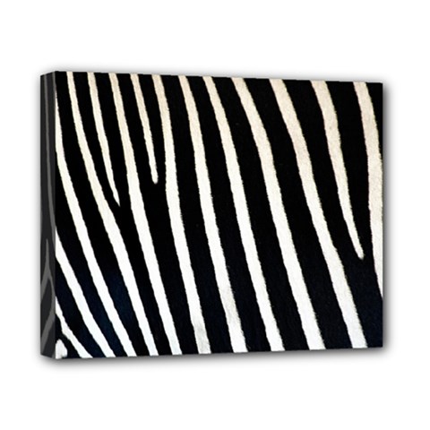 Zebra Print	Canvas 10  x 8  (Stretched) from ArtsNow.com