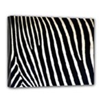 Zebra Print	Canvas 14  x 11  (Stretched)