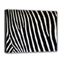 Canvas 14  x 11  (Stretched) 