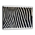 Zebra Print	Canvas 16  x 12  (Stretched)