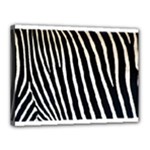 Zebra Print	Canvas 16  x 12  (Stretched)