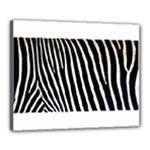 Zebra Print	Canvas 20  x 16  (Stretched)