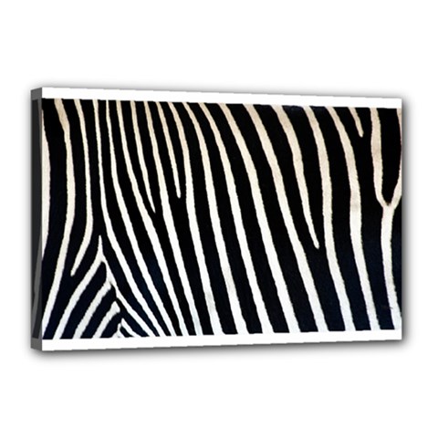 Zebra Print	Canvas 18  x 12  (Stretched) from ArtsNow.com