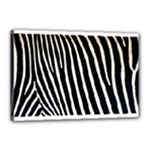 Zebra Print	Canvas 18  x 12  (Stretched)