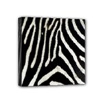 Zebra Print Big	 Mini Canvas 4  x 4  (Stretched)