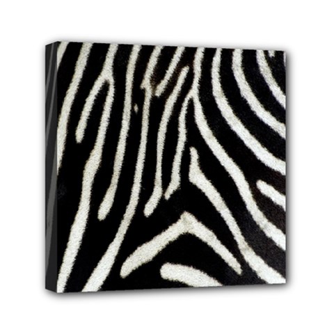 Zebra Print Big	Mini Canvas 6  x 6  (Stretched) from ArtsNow.com