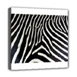 Zebra Print Big	Mini Canvas 8  x 8  (Stretched)