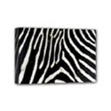 Mini Canvas 6  x 4  (Stretched) 