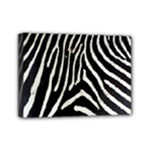 Zebra Print Big	Mini Canvas 7  x 5  (Stretched)