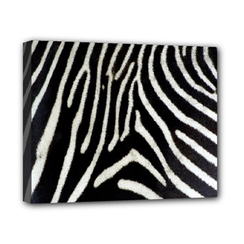 Zebra Print Big	Canvas 10  x 8  (Stretched) from ArtsNow.com