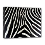 Zebra Print Big	Canvas 14  x 11  (Stretched)