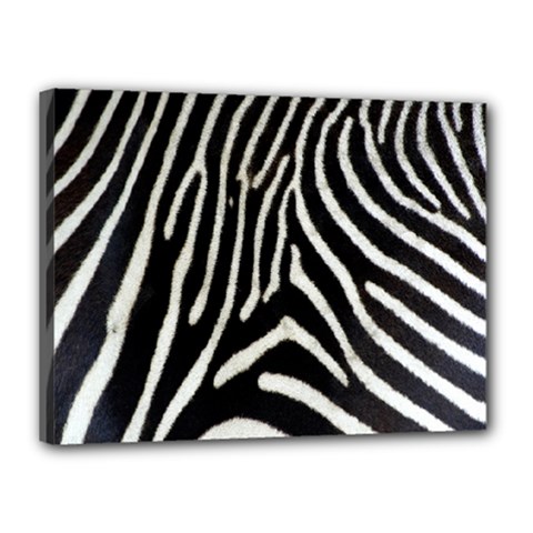 Zebra Print Big	Canvas 16  x 12  (Stretched) from ArtsNow.com