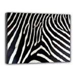 Zebra Print Big	Canvas 16  x 12  (Stretched)