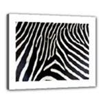 Zebra Print Big	Canvas 20  x 16  (Stretched)