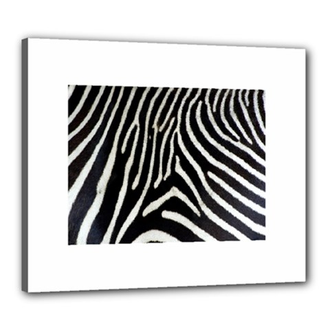 Zebra Print Big	Canvas 24  x 20  (Stretched) from ArtsNow.com