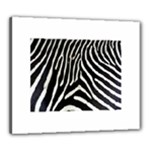 Zebra Print Big	Canvas 24  x 20  (Stretched)