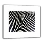 Zebra Print Big	Canvas 24  x 20  (Stretched)