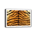Mini Canvas 6  x 4  (Stretched) 