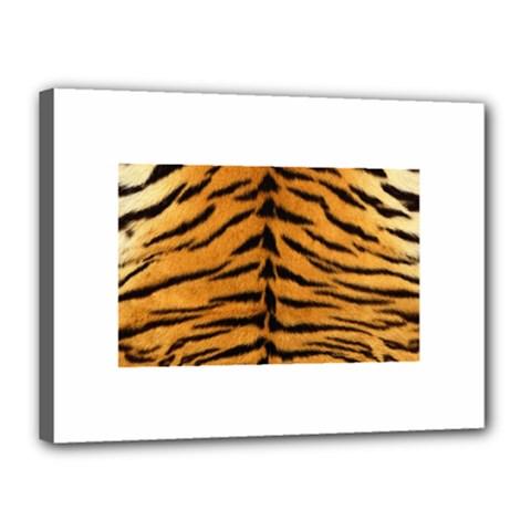 Tiger Print	Canvas 16  x 12  (Stretched) from ArtsNow.com
