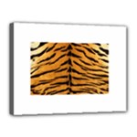 Tiger Print	Canvas 16  x 12  (Stretched)