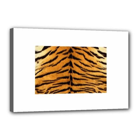 Tiger Print	Canvas 18  x 12  (Stretched) from ArtsNow.com