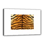 Tiger Print	Canvas 18  x 12  (Stretched)