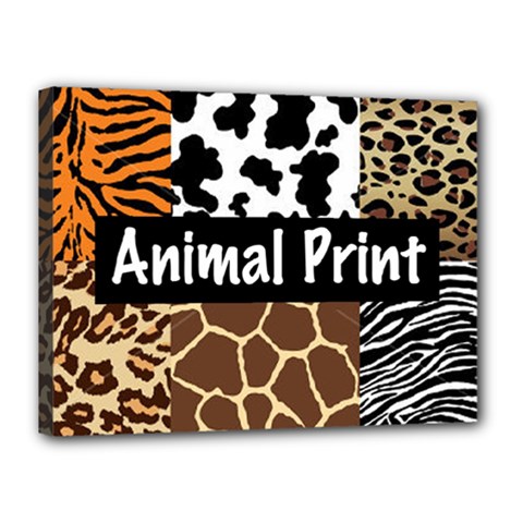 Animal Print	Canvas 16  x 12  (Stretched) from ArtsNow.com
