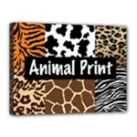 Animal Print	Canvas 16  x 12  (Stretched)