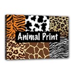 Animal Print	Canvas 18  x 12  (Stretched)