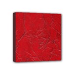 Leather Look & Skins Cracked Red Leather Mini Canvas 4  x 4  (Stretched)