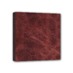 Leather Look & Skins Capri Brown Mini Canvas 4  x 4  (Stretched)