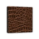 Mini Canvas 4  x 4  (Stretched) 
