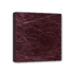Leather Look & Skins  Capri Cranberry Mini Canvas 4  x 4  (Stretched)