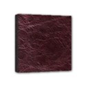 Mini Canvas 4  x 4  (Stretched) 